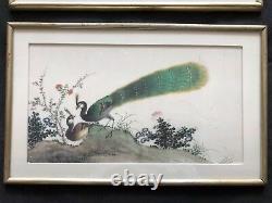 6 Large Antique Chinese Watercolor Paintings On Pith Paper, Qing Dynasty 19C