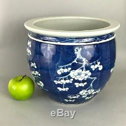 A large Chinese blue & white prunus Jardiniere plant pot fish bowl