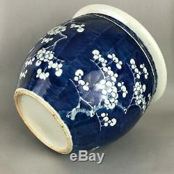 A large Chinese blue & white prunus Jardiniere plant pot fish bowl