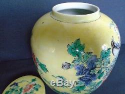 An antique large Chinese porcelain F/V Jar & cover, Kangxi dlb'blue circle mark