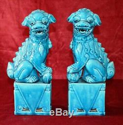 Antique Chinese Pair of Large Foo Dogs