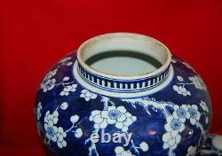 Antique Chinese Porcelain Large Prunus Blossom Covered Jar Qing Dynasty