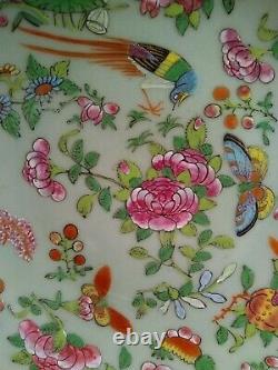 Antique Chinese Porcelain Plate Famille Rose Fencai Celadon Large