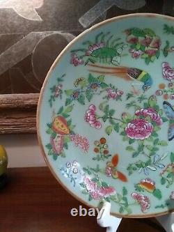 Antique Chinese Porcelain Plate Famille Rose Fencai Celadon Large