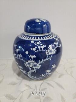 Antique Huge Chinese large Porcelain Prunus Jar KANGXI Mark