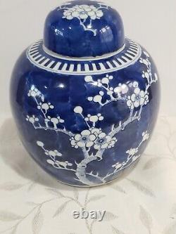 Antique Huge Chinese large Porcelain Prunus Jar KANGXI Mark