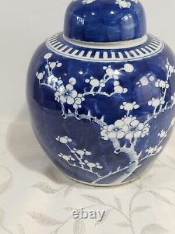 Antique Huge Chinese large Porcelain Prunus Jar KANGXI Mark