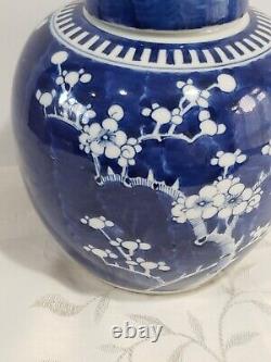 Antique Huge Chinese large Porcelain Prunus Jar KANGXI Mark