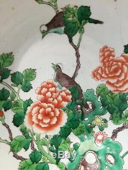 Antique large dish chinese porcelain famille verte 19th 20th century