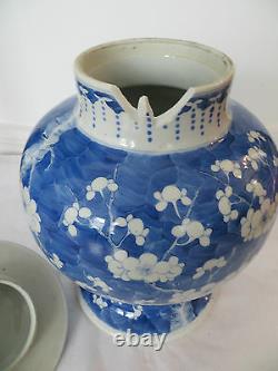 Chinese Antique Vase Large Blue Porcelain Prunus Jar and Cover Kangxi Style