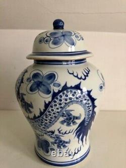 Chinese Blue & White Dragon Temple Jar, Good Fortune, Large