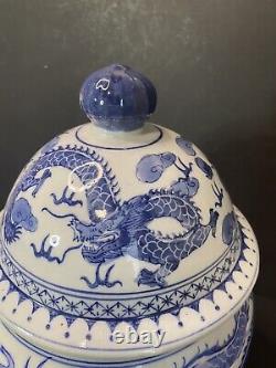 Chinese Blue White Porcelain Large Temple Jar Dragons Buddha Face Handles Unique