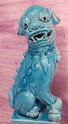 Foo Dogs Chinese Turquoise Blue Ceramic Large 10 Inch Vintage Asian Statues Pair