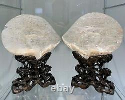 LARGE PAIR of CHINESE SHELL CARVINGS ON STANDS