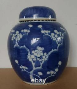 Large 20cm Chinese Handpainted Underglazed Blue Prunus Blossoms Ginger Jar + Lid