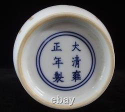 Large Antique Chinese Hand Painting Woman Porcelain Vase YongZheng Marks