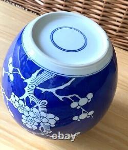 Large Antique Chinese Prunus Blue & White Ginger jar 17cm Kangxi Ring Mark