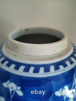 Large Chinese Blue And White Prunus Ginger Jar. With Original Lid. Qing 20cm