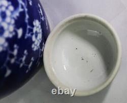 Large Chinese Blue and White Plum Ice Ginger Jar Double Circle Mark 25cm