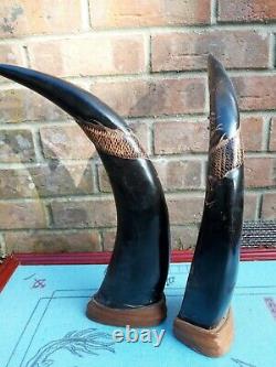 Large Pair Of Carved Chinese Buffalo Horn With Dragons Tigers and Glass eyes
