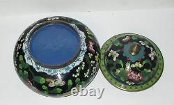 Large Rare Chinese Cloisonne Black Enamel Floral Jar Bowl Box