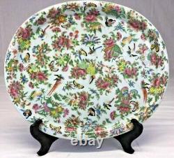 RARE Large Chinese Famille Rose Celadon Porcelain Oval Plate 19th C