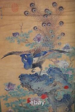 Very Large Old Chinese Scroll Hand Painting Beautiful Peacocks ChenXing Mark