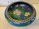 Vintage Antique Chinese Large Cloisonne Bowl With Floral & Butterfly Decoration