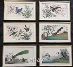 6 Grandes Peintures Aquarelles Chinoises Anciennes Sur Papier Peint, Dynastie Qing 19c