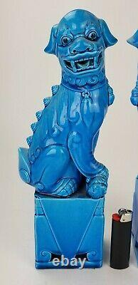 Antique Chinois Turquoise Bleu Glacé Large 12.25 Foo Lion Dog Figures Bouddhistes