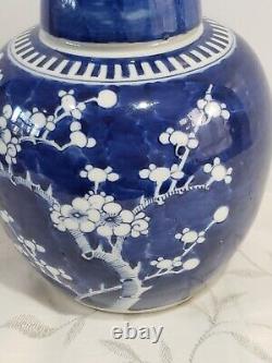 Antique Énorme Chinese Grande Porcelaine Prunus Jar Kangxi Mark