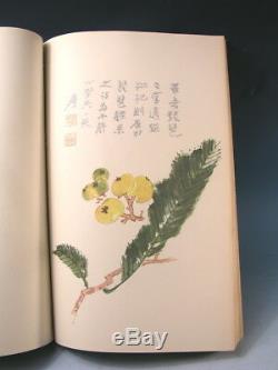 Antiquités Rares Peintures Chinoises (16) Grand Livre Suisse