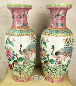 Couple Fine Qualité Grande République Chinoise Famille Rose Vases Oiseaux Paon 24