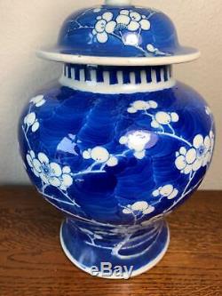 Grand 19ème Siècle Chinois Prunus Temple Jar 26cm Lidded Vase En Porcelaine
