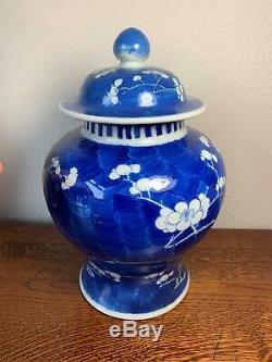 Grand 19ème Siècle Chinois Prunus Temple Jar 26cm Lidded Vase En Porcelaine