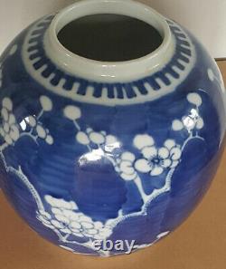 Grand 20cm Chinois Peint À La Main Sous Glaçure Blue Prunus Blossoms Ginger Jar + LID