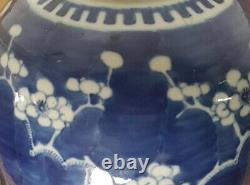Grand 20cm Chinois Peint À La Main Sous Glaçure Blue Prunus Blossoms Ginger Jar + LID