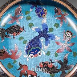 Grand Bol Antique Cloisonne, Chinois, Céramique, Poêle De Poisson, Servir Le Dish, C. 1900