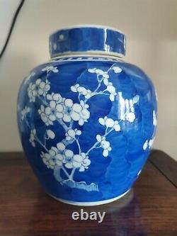 Grand Pot Chinois Bleu Et Blanc Prunus Ginger Jar. Avec L'original Lid. Qing 20cm