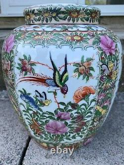 Grand Pot De Gingembre Chinois Famile Rose Avec Des Oiseaux Et Des Fleurs 27cm De Haut
