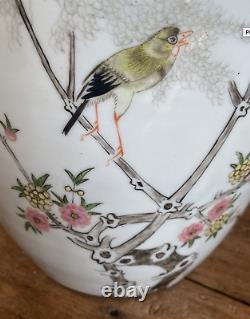 Grand Vase De Porcelaine D'oiseaux De Porcelaine De Famille Chinoise Antique