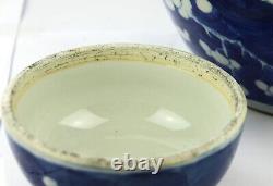 Grand pot en porcelaine chinoise bleue et blanche avec des prunes, de la glace au gingembre et un double cercle de marquage.