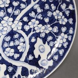 Grande ? Assiette ancienne en porcelaine chinoise Qing bleue et blanche à motif de prunus