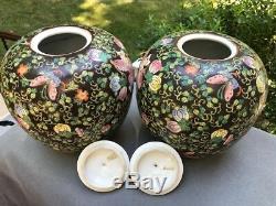 Grande Paire De Noir Chinois En Porcelaine Ginger Jars Avec Les Figures Du Couvercle Et Fleurs