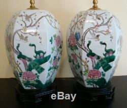 Paire De Grand Antique Chinois Famille Lampes Jar Ginger Rose Porcelaine
