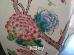 Paire De Grand Antique Chinois Famille Lampes Jar Ginger Rose Porcelaine