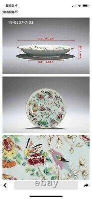 Rare Grand Chinese Famille Rose Celadon Porcelaine Plaque Ovale 19ème C