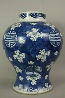 Un Grand Vase En Balustre Prunus Shou D'époque Kangxi Chinois (1662-1722)