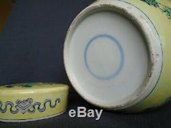 Une Ancienne Grande Porcelaine Chinoise F / V Pot Et Couvercle, Kangxi Dlb'blue Marque Cercle