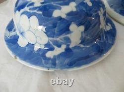 Vase Antique Chinois Grand Bleu Porcelaine Prunus Jar Et Couverture Kangxi Style